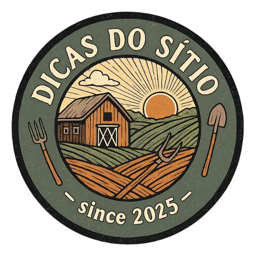 DICAS DO SÍTIO
